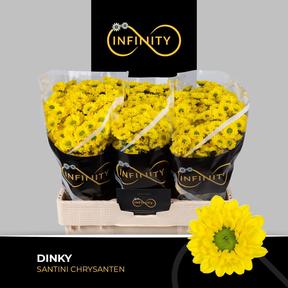 Chrys sa dinky