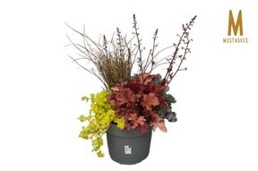 Heide mix 