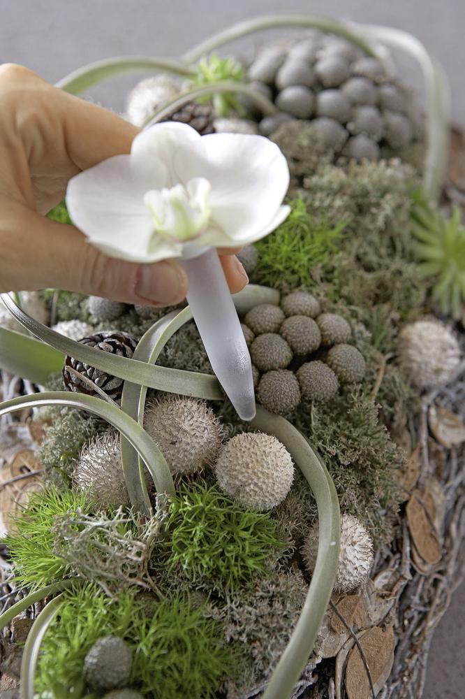 Ampule, 11 cm, 24 ml, 15 ks v balení